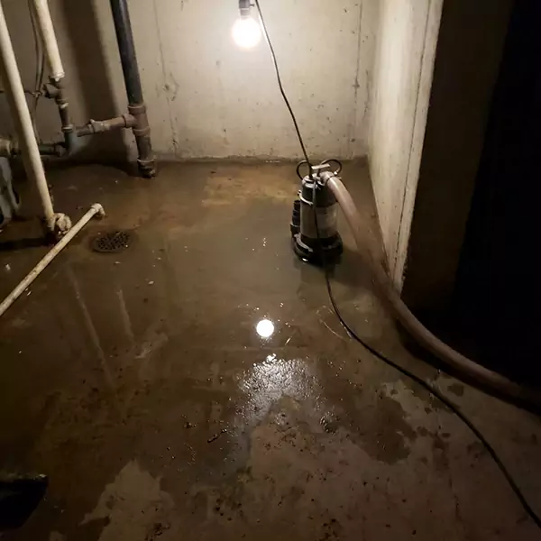Basement Flood Clean Up in Sunrise, FL