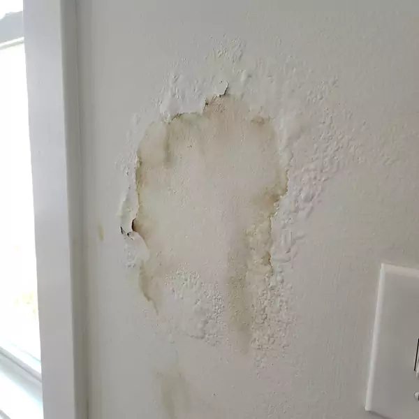 Expert Drywall Water Damage Repair in Sunrise, FL