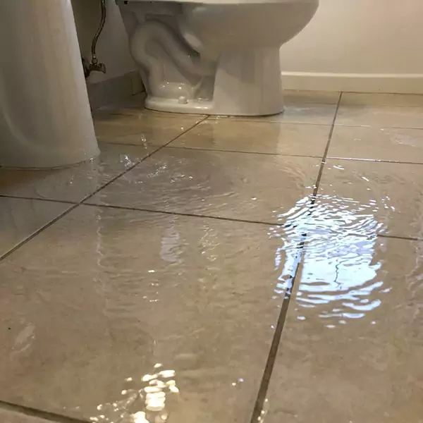 Expert Flooded Bathroom Restoration in Sunrise, FL 