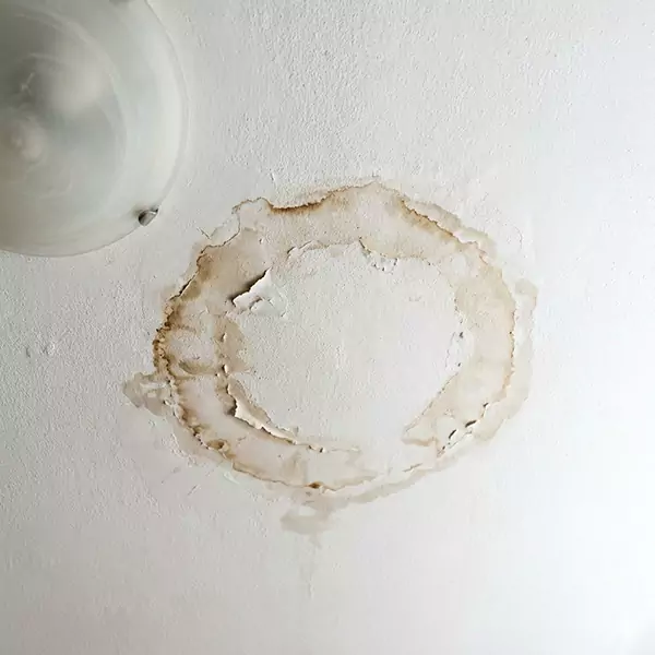 Leaking Ceiling Repair in Sunrise, FL 