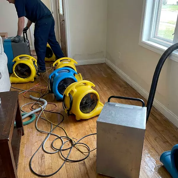 Water Mitigation Services in Sunrise, FL