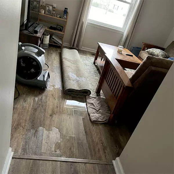 Water Restoration in Sunrise, FL