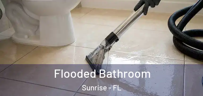  Flooded Bathroom Sunrise - FL