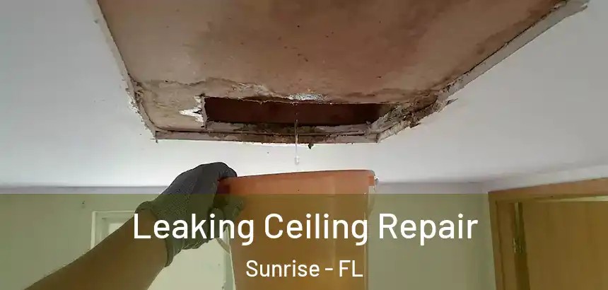 Leaking Ceiling Repair Sunrise - FL