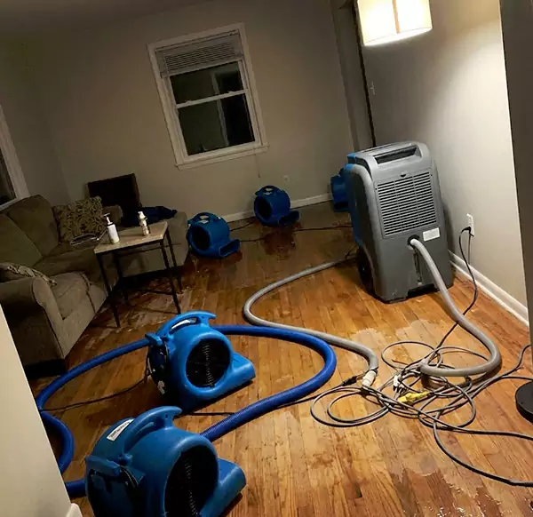 Why Homeowners & Businesses Choose Sunrise 945 Water Damage for Emergency Water Restoration in Sunrise, FL?
